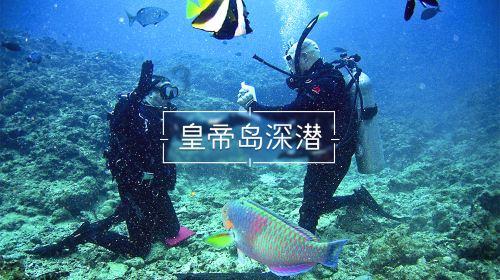 小猫钓鱼开船版最新版下载